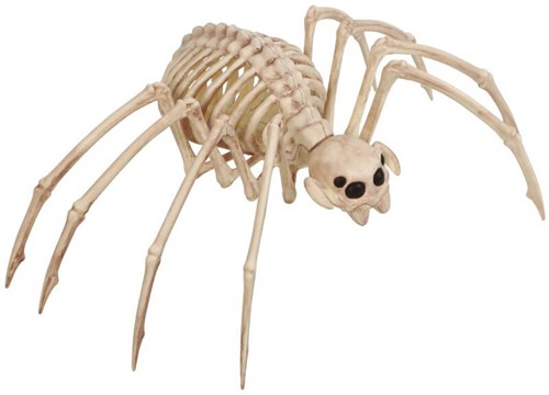 Spinnen Skelet Halloween Decoratie (35x20cm)