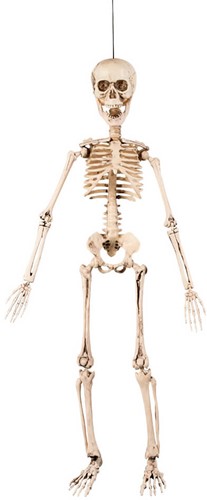 Hangdeco Beweegbare Skelet (50cm)