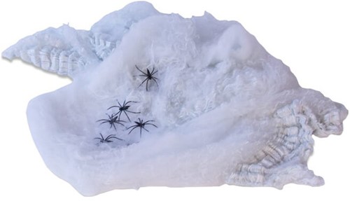 Witte Spinnenweb met 10 Spinnen (200gr)
